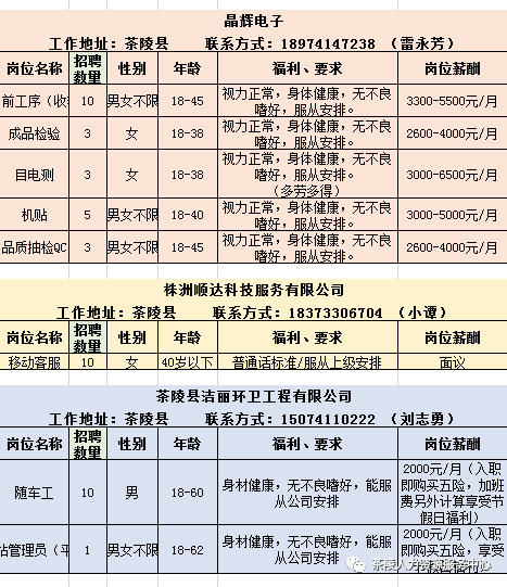 茶陵招聘信息汇总