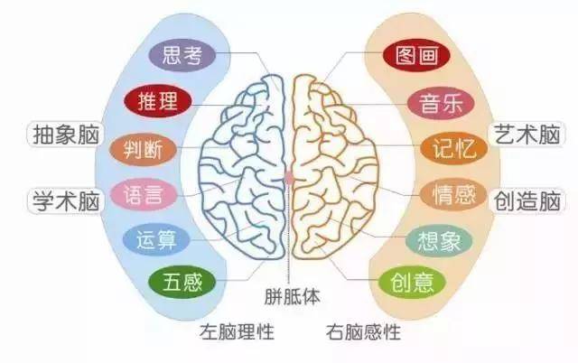 现代压疮分期与护理策略解析