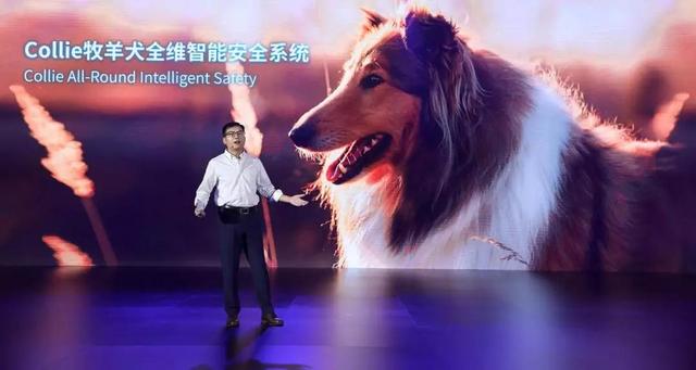 德国牧羊犬杜克斯倾情呈现：最新动感视频集锦大放送！