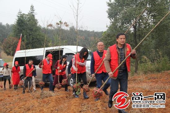 汉寿太子庙周边最新住宅市场行情一览